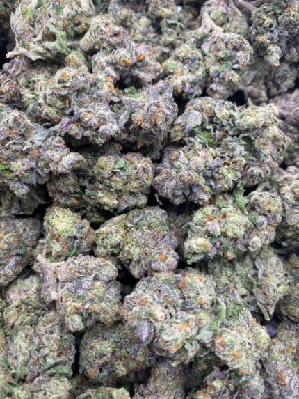 ZITTLEZ 🥤