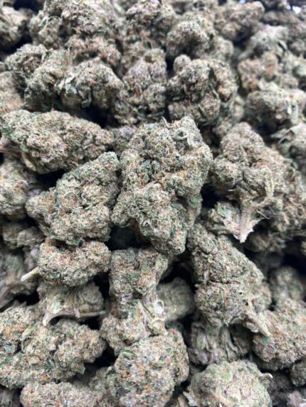 SOUR LATTO 🥂