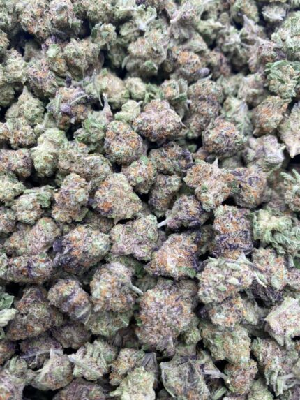 SWEET TART SMALLS 🤑